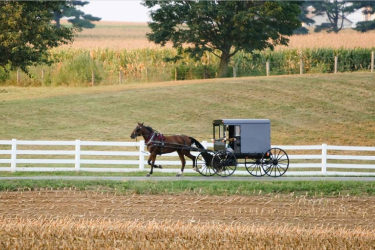 Amish Oil Change: Unveiling the Meaning and Traditions