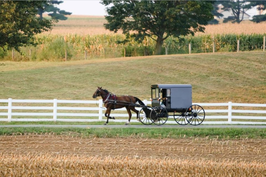 amish oil change meaning