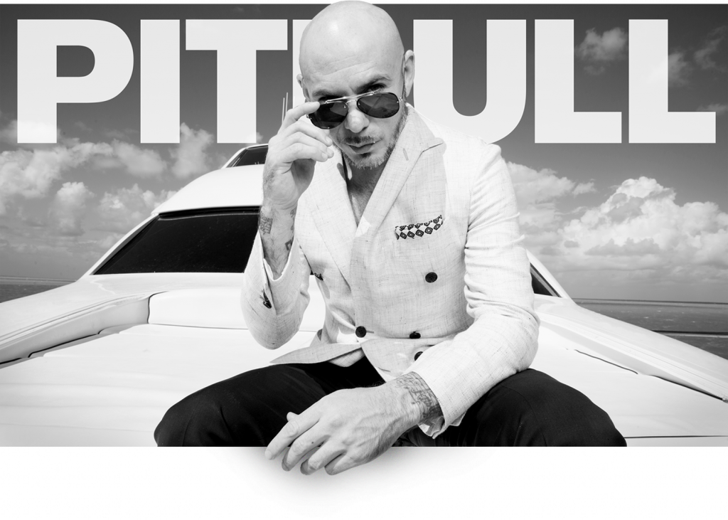 pitbull net worth