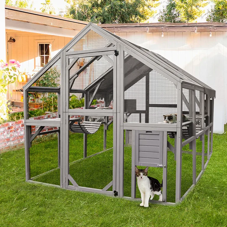 Open-Air Opulence: Luxurious Outdoor Cat Enclosures for Your Purr-ecious Pets